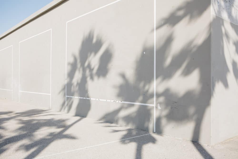 palm tree shadows against white building